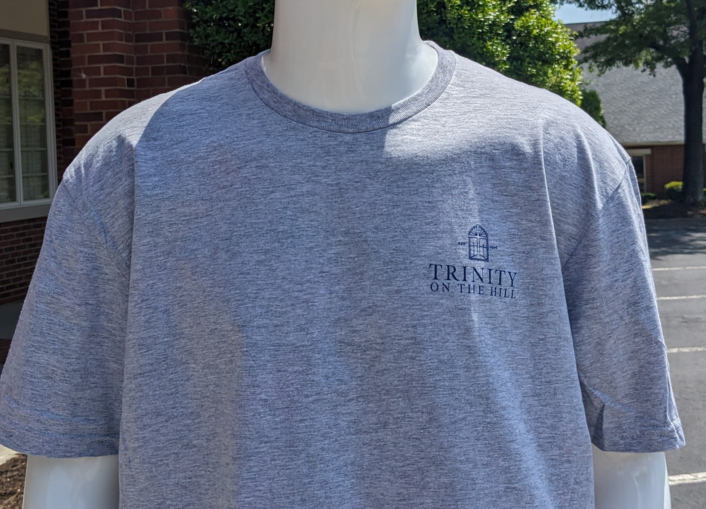 TOTH T-Shirt in Gray - Image 4
