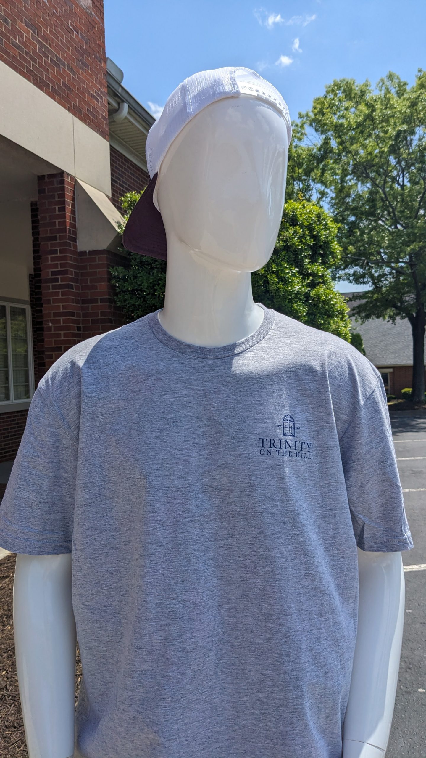 TOTH T-Shirt in Gray