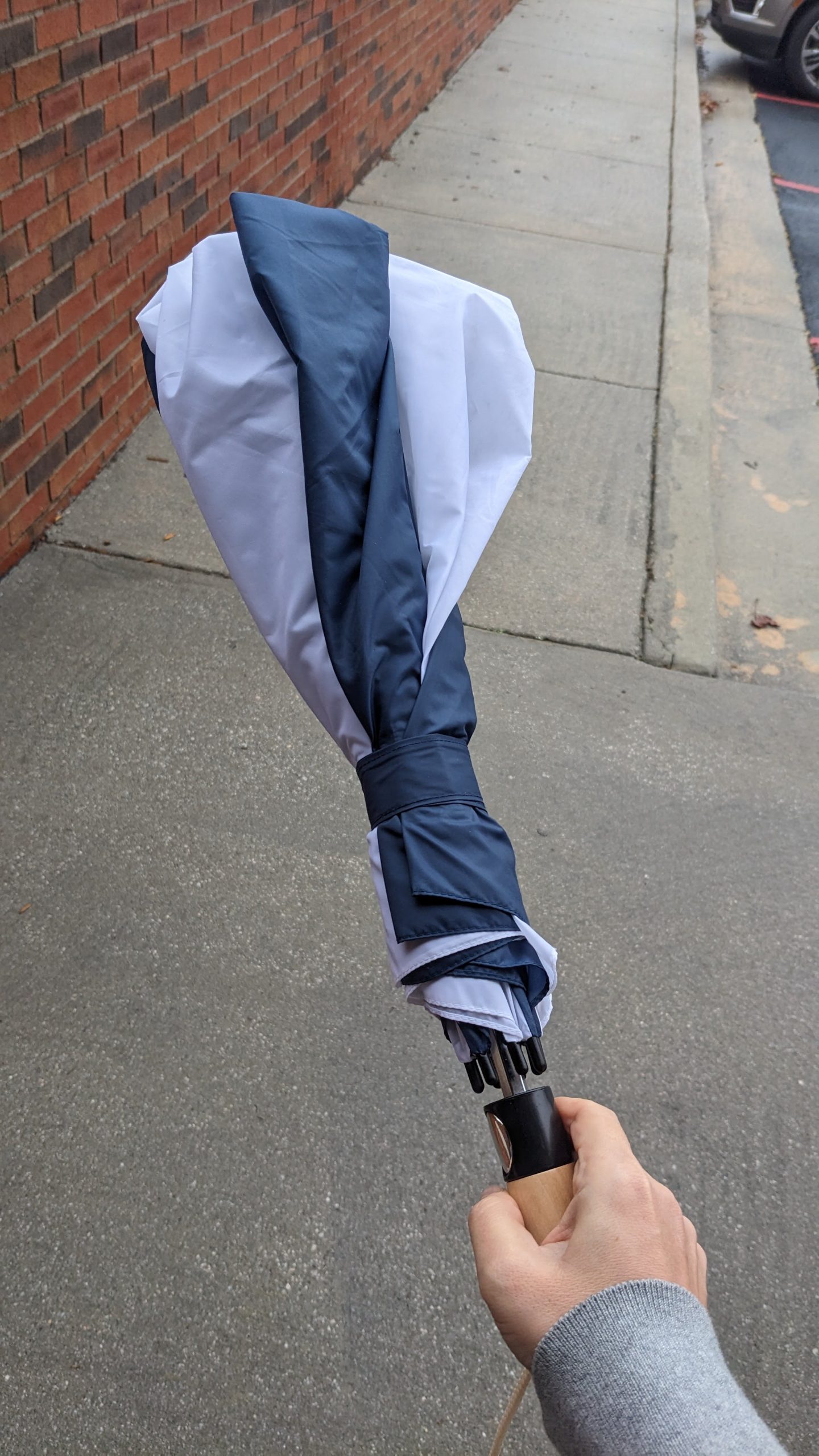 TOTH Umbrella - Image 4